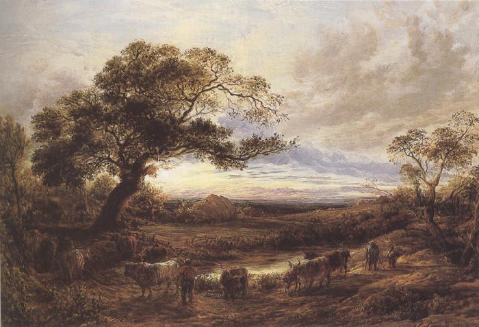 John linnell Evening (mk37)